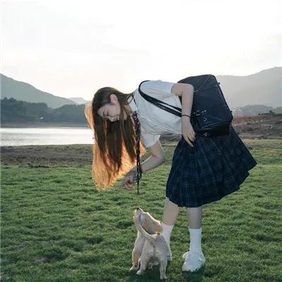 凤舞龙翔